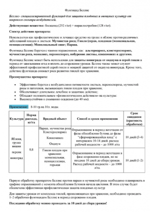 Фунгицид Беллис 10 гр.