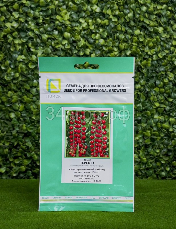 Томат Терек 100 шт.