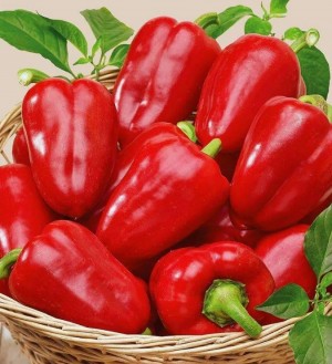 Перец Крепыш 100 гр.