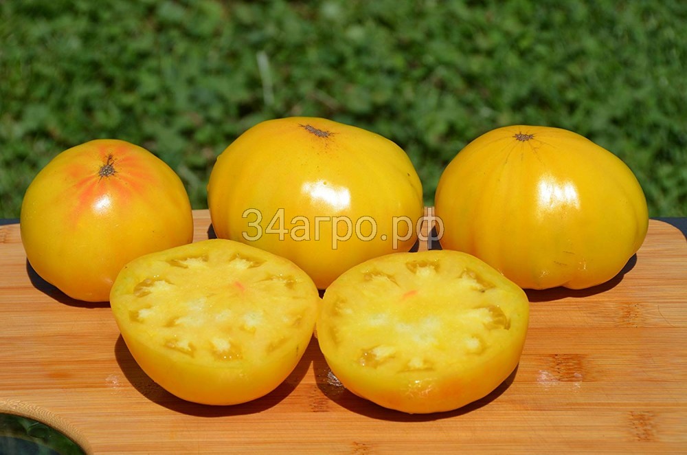 Томат Гигант лимонный 9 гр.